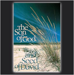 Cover of The Son Of God And Seed Of David